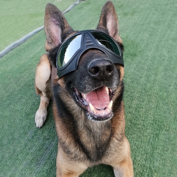 Pet mask glasses waterproof and snowproof soft frame goggles